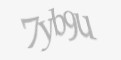 Защитный код